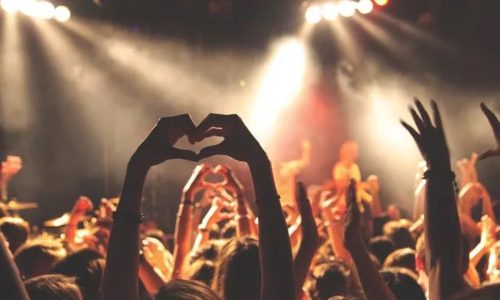 Artist engaging with loyal fans to build a cult following
