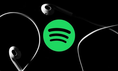 Gain Organic Fans on Spotify