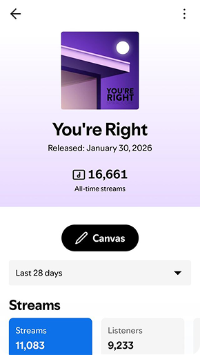 Spotify campaign result preview