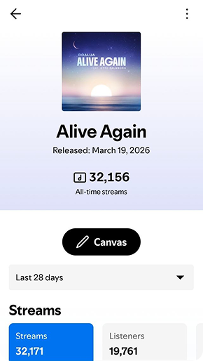 Spotify campaign result preview