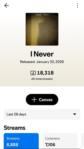 Spotify campaign result preview