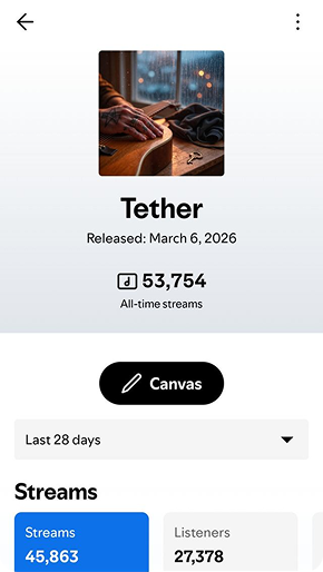 Spotify campaign result preview