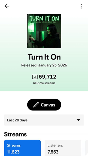 Spotify campaign result preview